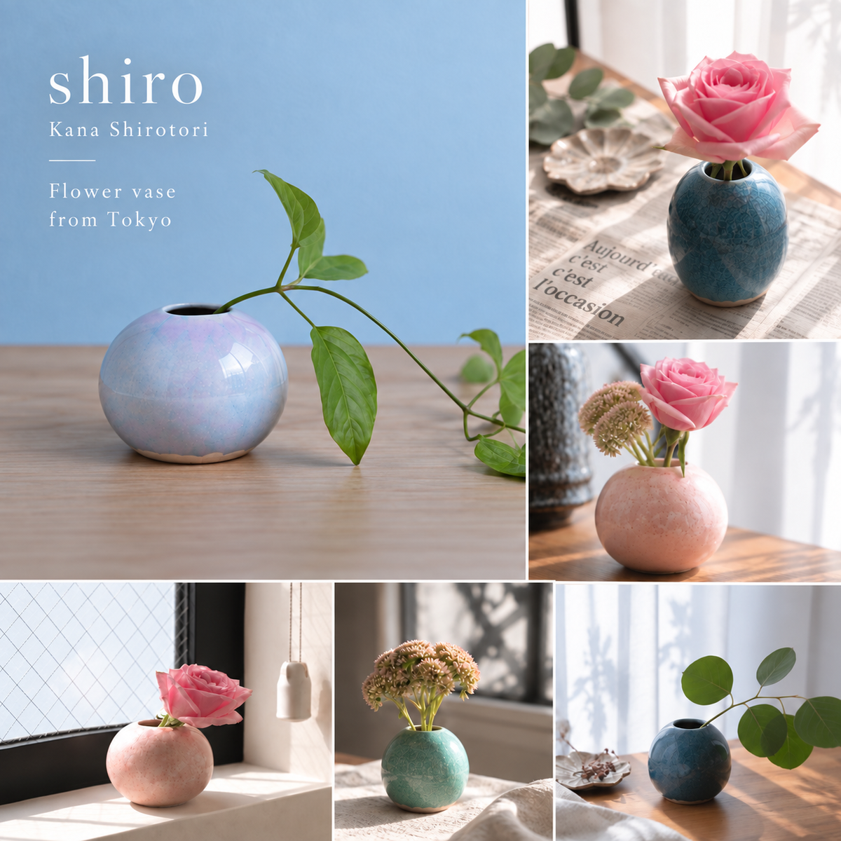 Shiro丨Kana Shirotori